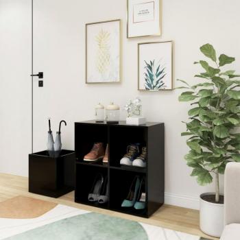 Stylish Black Shoe Cabinet for Hall