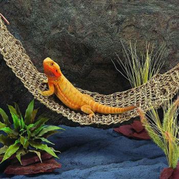 Juguete de Reptil: Hamaca Colgante