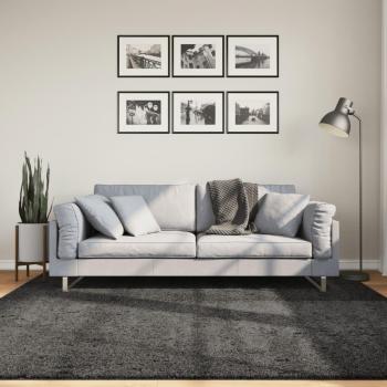 Tapis de Salon PAMPLONA Poils Longs Moderne Anthracite