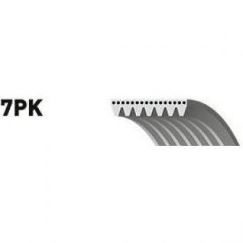 Banda a Righe V di Gates 7PK1453