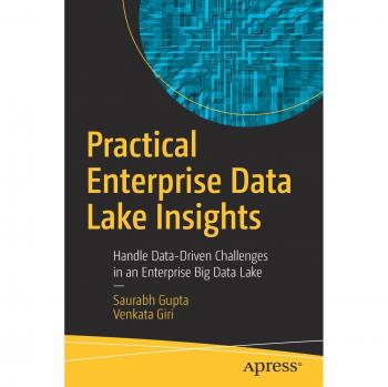 Practical Enterprise Data Lake Insights