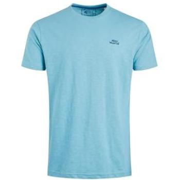 Weird Fish Branded Fished T-Shirt – Men's Light Blue (Large)