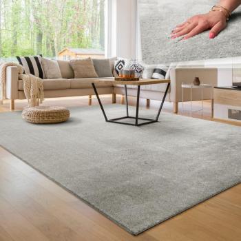 Tapis Lavable Salon Effet Fourrure 140x200 cm