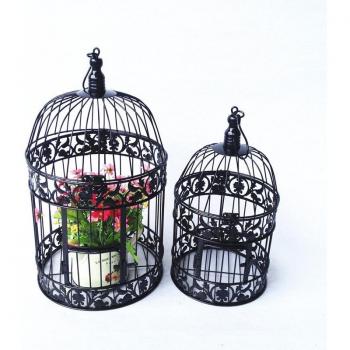 Ensemble de Cages à Oiseaux en Fer Forgé – Ornement Décoratif