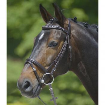 Waldhausen STAR Bridle (Cob) with Rivets