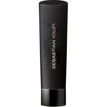 Sebastian Champú Seco 250 ml