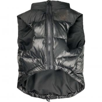 Small Medium Dog Down Jacket