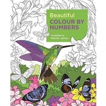 Beautiful Colour by Numbers (Arcturus Colour by Numbers Collection)