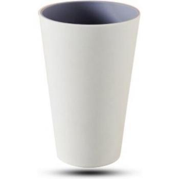 Vasos de plástico para enjuague bucal y cepillos de dientes