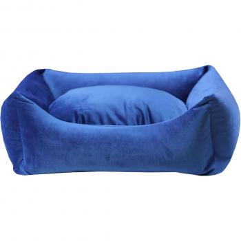 PerroGato SofáCama Azul Made in Italy