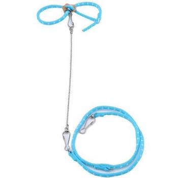 Pet Rat Leash and Collar Set