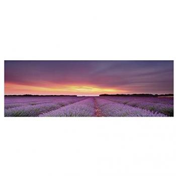 Cuadro cabecero paisaje de lavanda al atardecer 150x50 cm