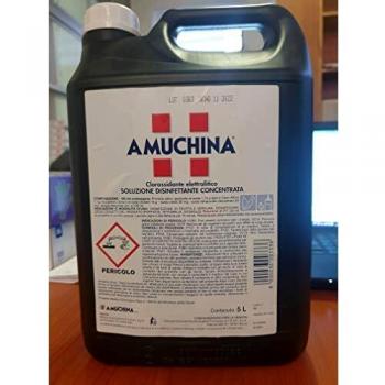 Amuchina Disinfettante Concentrato 5 L