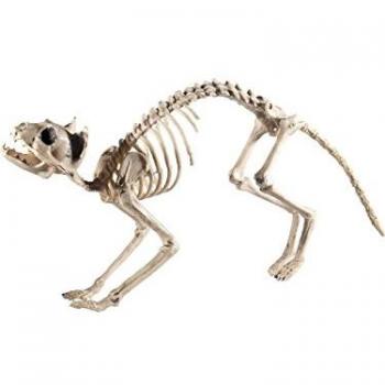 Feline Skeleton Ornament