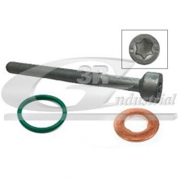 Tornillo para Inyector 3RG 99501