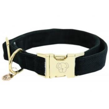 Kentucky Dogwear