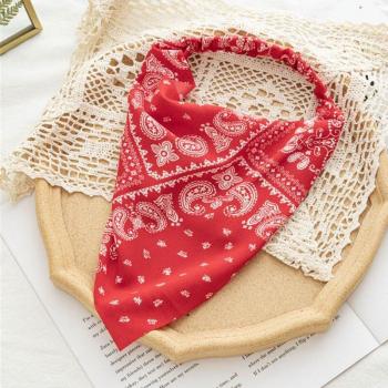 Accesorio de moda para el cabello