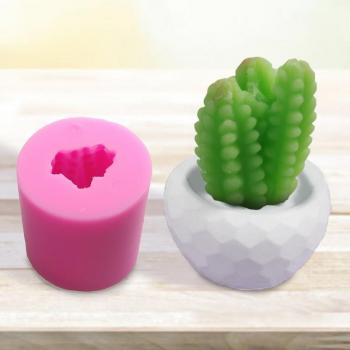 Cactus Mold for Candle Making