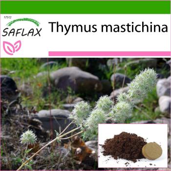Masilla para tomillo: Producto utilizado para el cuidado y cultivo de plantas de tomillo