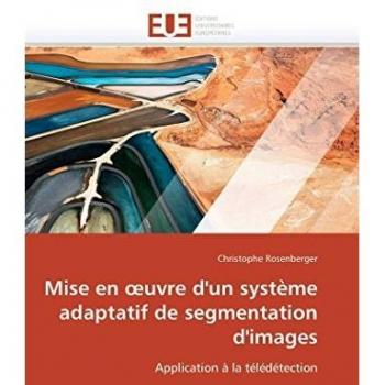 Mise en œuvre d'un système adaptatif de segmentation d'images: Application à la télédétection