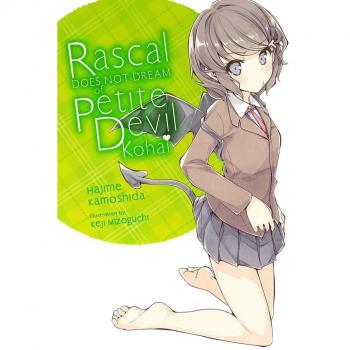 Hajime Kamoshida Rascal Does Not Dream of Petite Devil Kouhai (light novel)