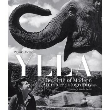 Ylla