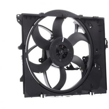 Ventilateur de Radiateur RIDEX 508R0020 pour BMW