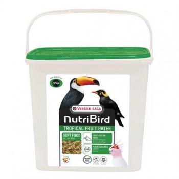 Tropical Fruit Avian Pattee