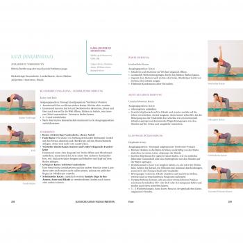 Das große Faszien-Yoga Buch