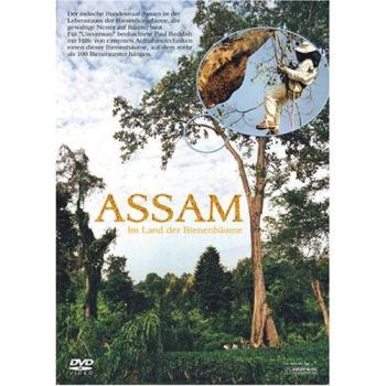 Assam – L'Île des Arbres Bourdonnants