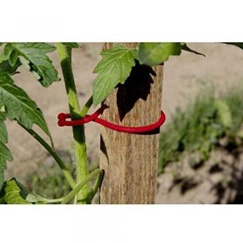 Clips rouges pour tomates