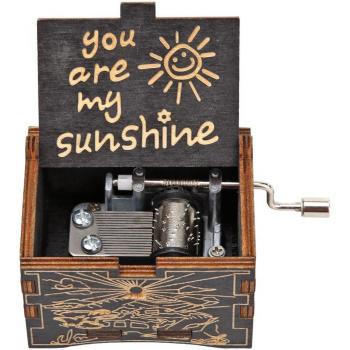 Boîte à musique artisanale en bois avec manivelle pour enfants, ornement vintage, You're My Sunshine