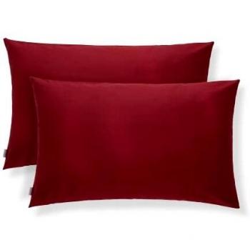 Coussin Housse Lot 2 – Taie d'Oreiller Coton Soie, Revêtement Extérieur Hypoallergénique, Anti‑Acariens, Lavable, Double Face pour Lit Moderne