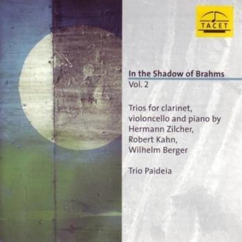 Im Schatten Von Brahms Vol.2