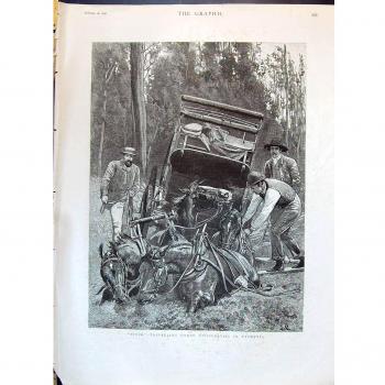 Rastro de 1890 en Tasmania