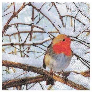 Winter Robin Green Napkin Bundle