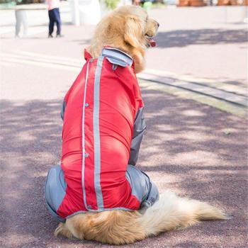 Dog Raincoat for Border Collie