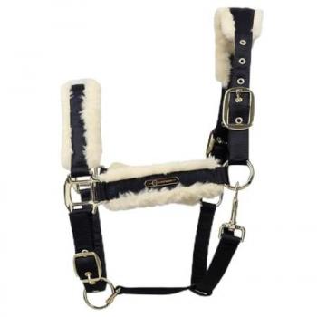 Coldstream Langlee Royal Navy Head Collar & Lead Set
