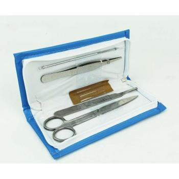 Dissection Needle for Insects