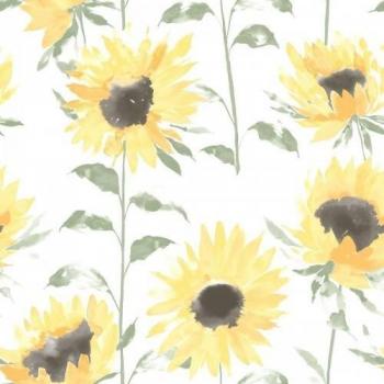 Catherine Lansfield Girasol 10m x 53cm