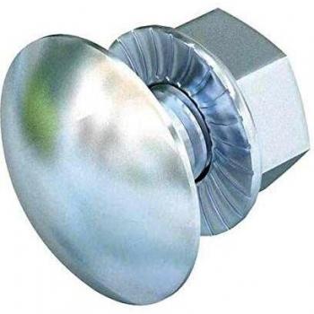 BEG Flachrundschraube M6x12 G