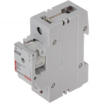 Interruptor OEM 1P 63A D02 R301