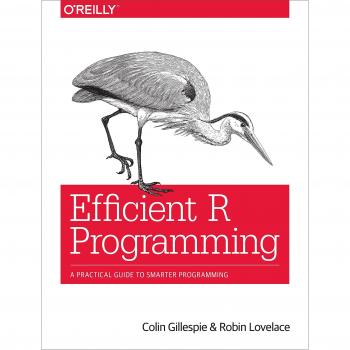 Efficient R Programming : A Practical Guide to Smarter Programming, Paperback...