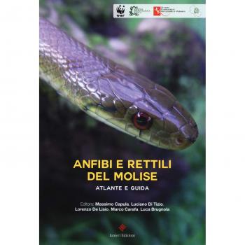 Anfibi e rettili del Molise. Atlante e guida
