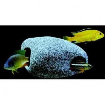 Rocón EcoPez: Cúspide para Acuario