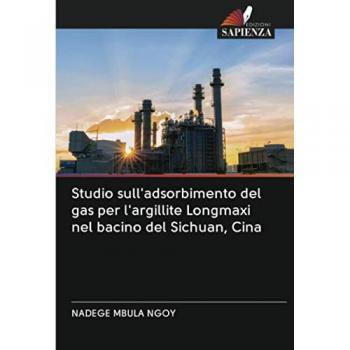 Studio sull'adsorbimento del gas per l'argillite Longmaxi nel bacino del Sichuan, Cina