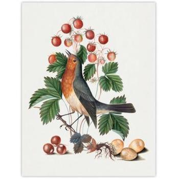 Artery8 Botanical Bird & Strawberry Print – 12x16