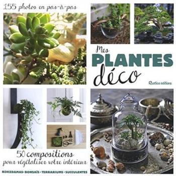 Flore Palix Mes Plantes Déco