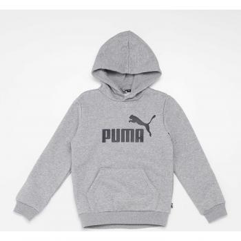 Felpa con cappuccio per ragazzi Puma Grigio/Erica 176