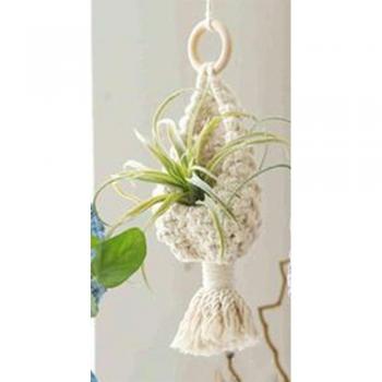 Cotton Room Plant Hanger